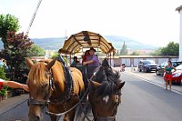 Bild: Koloniefest in Sollstedt