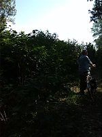 Bild: Fahrrad-Exkursion entlang Zorge und Helme