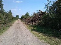 Bild: Fahrrad-Exkursion entlang Zorge und Helme