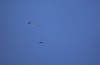 Bild: 18. Flugtage in Hain