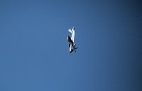 Bild: 18. Flugtage in Hain