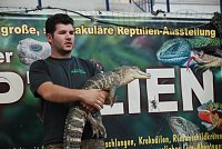 Bild: Welt der Reptilien in der Wiedingsburghalle