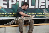Bild: Welt der Reptilien in der Wiedingsburghalle
