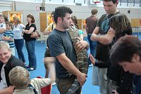 Bild: Welt der Reptilien in der Wiedingsburghalle