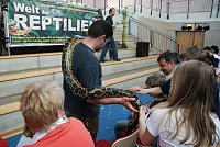 Bild: Welt der Reptilien in der Wiedingsburghalle