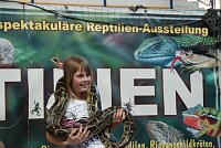 Bild: Welt der Reptilien in der Wiedingsburghalle