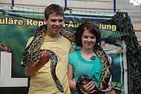Bild: Welt der Reptilien in der Wiedingsburghalle