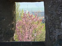 Oben auf dem Berg Bild: Oben auf dem Berg