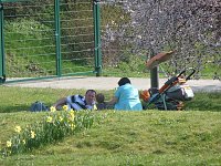 Oben auf dem Berg Bild: Oben auf dem Berg