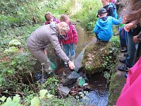 Wissenswertes rund ums Wasser erfuhren die Grundschüler Niedersachswerfens am Mühlberg Bild: Wissenswertes rund ums Wasser erfuhren die Grundschüler Niedersachswerfens am Mühlberg