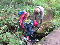 Wissenswertes rund ums Wasser erfuhren die Grundschüler Niedersachswerfens am Mühlberg Bild: Wissenswertes rund ums Wasser erfuhren die Grundschüler Niedersachswerfens am Mühlberg