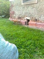 Bild: Zu Gast in Werna