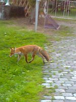 Bild: Zu Gast in Werna