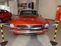 Der Mustang in Nordhausen Bild: Der Mustang in Nordhausen