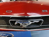 Der Mustang in Nordhausen Bild: Der Mustang in Nordhausen