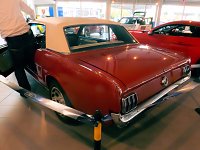 Der Mustang in Nordhausen Bild: Der Mustang in Nordhausen