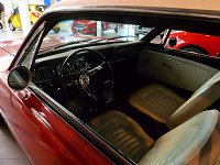 Der Mustang in Nordhausen Bild: Der Mustang in Nordhausen