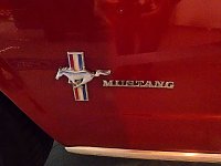 Der Mustang in Nordhausen Bild: Der Mustang in Nordhausen