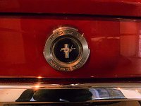 Der Mustang in Nordhausen Bild: Der Mustang in Nordhausen