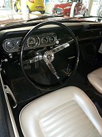 Der Mustang in Nordhausen Bild: Der Mustang in Nordhausen