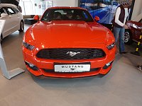 Der Mustang in Nordhausen Bild: Der Mustang in Nordhausen