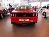 Der Mustang in Nordhausen Bild: Der Mustang in Nordhausen