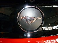 Der Mustang in Nordhausen Bild: Der Mustang in Nordhausen