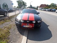 Der Mustang in Nordhausen Bild: Der Mustang in Nordhausen