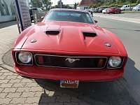 Der Mustang in Nordhausen Bild: Der Mustang in Nordhausen
