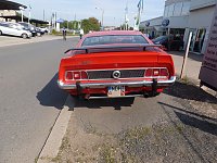 Der Mustang in Nordhausen Bild: Der Mustang in Nordhausen