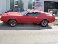 Der Mustang in Nordhausen Bild: Der Mustang in Nordhausen