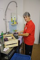 Bild: Willkommen in S&uuml;lzhayn