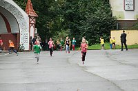 Bild: Herbstcross im Nordh&auml;user Gehege