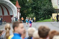 Bild: Herbstcross im Nordh&auml;user Gehege