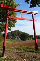 Ilfelder Ahornpark im Herbstlicht Bild: Ilfelder Ahornpark im Herbstlicht