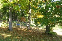 Ilfelder Ahornpark im Herbstlicht Bild: Ilfelder Ahornpark im Herbstlicht