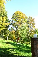 Ilfelder Ahornpark im Herbstlicht Bild: Ilfelder Ahornpark im Herbstlicht