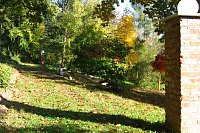 Ilfelder Ahornpark im Herbstlicht Bild: Ilfelder Ahornpark im Herbstlicht