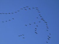 Bild: Die Flugschau ist er&ouml;ffnet