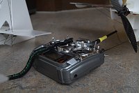 Lange Nacht der Wissenschaften in Nordhausen Bild: Lange Nacht der Wissenschaften in Nordhausen