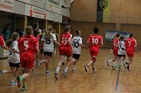 Ein fast perfektes Handball-Wochenende Bild: Ein fast perfektes Handball-Wochenende