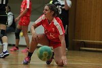 Ein fast perfektes Handball-Wochenende Bild: Ein fast perfektes Handball-Wochenende