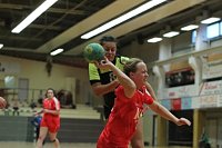 Ein fast perfektes Handball-Wochenende Bild: Ein fast perfektes Handball-Wochenende