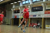 Ein fast perfektes Handball-Wochenende Bild: Ein fast perfektes Handball-Wochenende