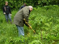 Bild: Arbeit im Park