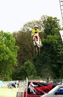 Bild: 