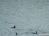 Bild: Peter Blei unterwegs: die Wendefurth Talsperre
