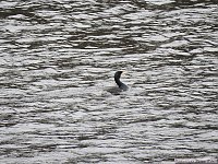 Bild: Peter Blei unterwegs: die Wendefurth Talsperre