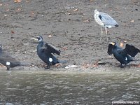 Bild: Peter Blei unterwegs: die Wendefurth Talsperre