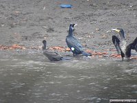 Bild: Peter Blei unterwegs: die Wendefurth Talsperre